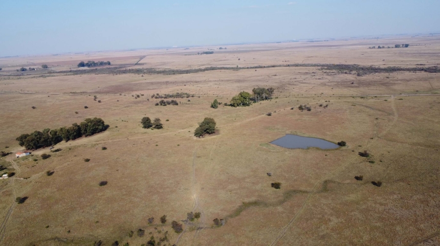 0 Bedroom Property for Sale in Koppies Rural Free State